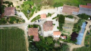 Vue aérienne. Gites Pigon. Landes