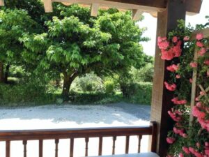 Gite Pigon 2. Vielle-Tursan. Landes